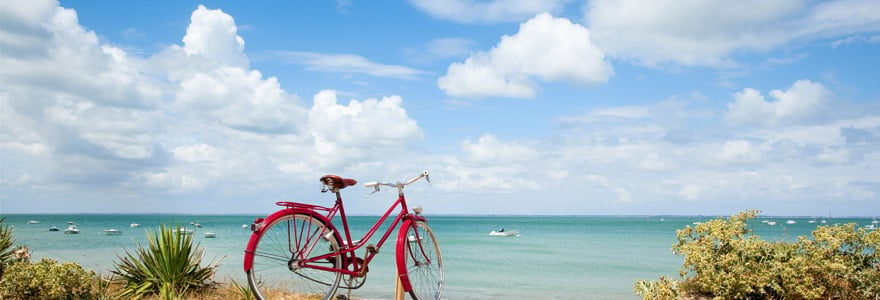 Île de Ré