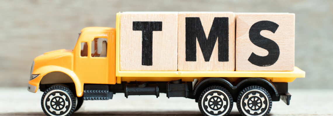logiciel TMS